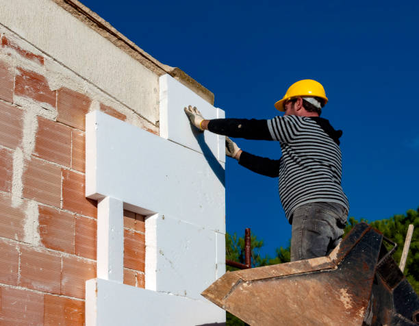 Best Cellulose Insulation in Rossmoor, CA
