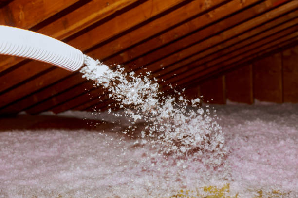 Best Blown-in Insulation in Rossmoor, CA